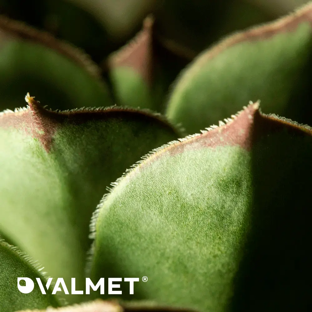 Report di Sostenibilità 2025: il percorso di Valmet verso una crescita responsabile